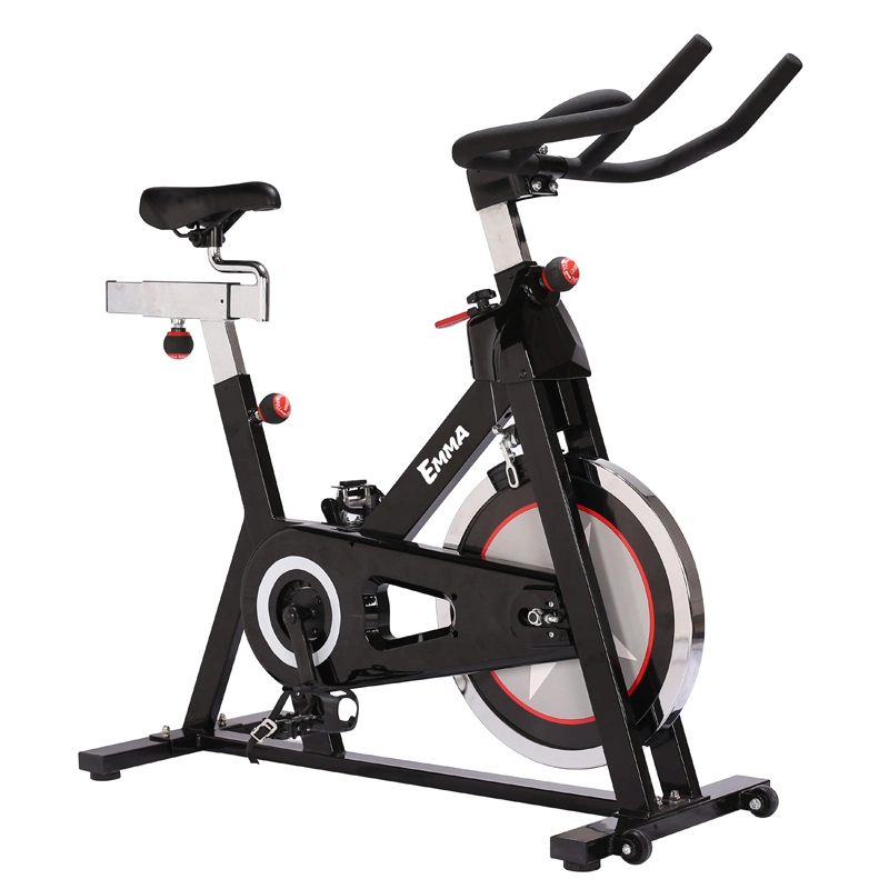 Exercise Bike Spin Bike Home Use Fitness Equipment (AM-S4000N)